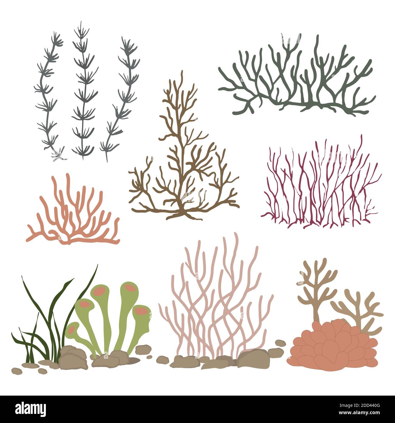 Coralli di barriera, alghe marine, insieme vettoriale di piante selvatiche sottomarine Illustrazione Vettoriale