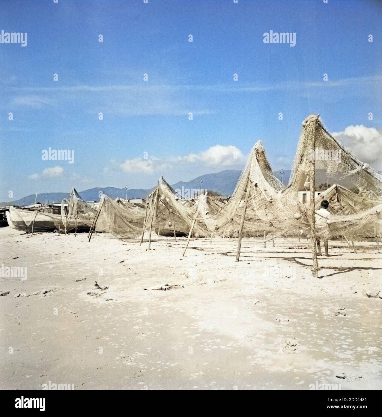 Aufgespannte Netze am Ufer der Isla Margarita, Venezuela 1966. Coperta di canna fumaria alla costa dell'Isla Margarita, Venezuela 1966. Foto Stock