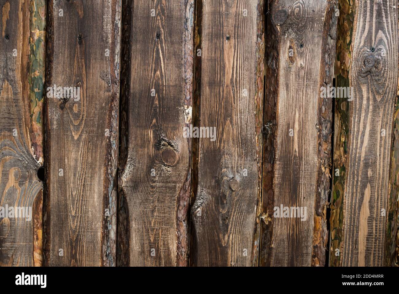 Legno marrone tavole di pino texture di sfondo Foto Stock