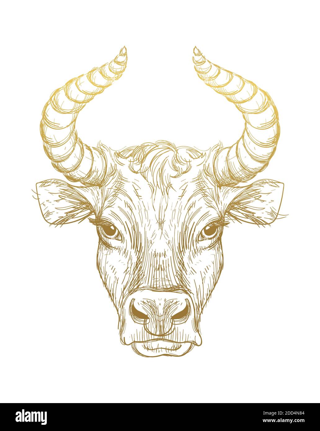 Felice anno nuovo 2021 della Ox, Ox-Taurus. Disegno lineare dorato su sfondo bianco, tarocchi, tatuaggio, oroscopo cinese, astrologia e segni zodiacali. V Illustrazione Vettoriale