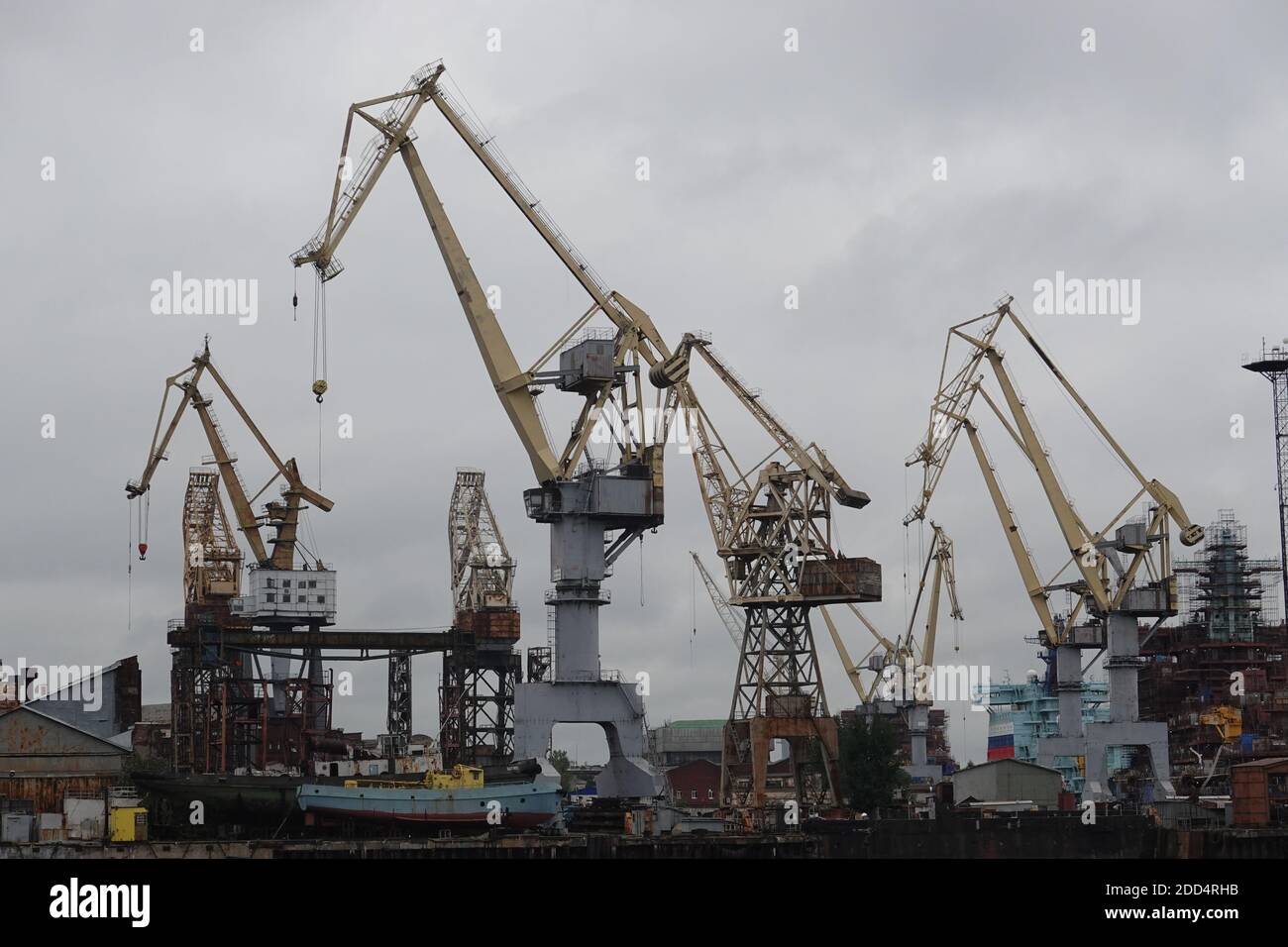 Il Porto Grande di San Pietroburgo è l'impresa statale che fornisce l'organizzazione della navigazione commerciale nel porto marittimo Foto Stock