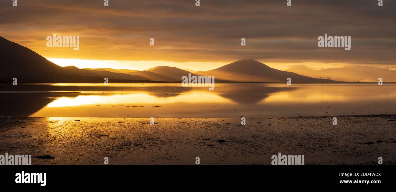 Panorama di Tralee Bay nella contea di Kerry, Irlanda al tramonto con le montagne della penisola di Dingle riflesse in un mare calmo Foto Stock