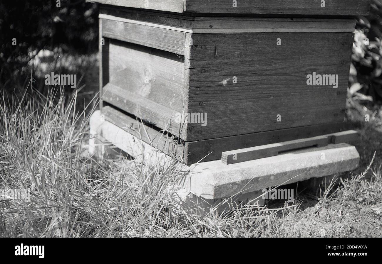 Anni '1950, storia, primo piano di alveare di legno seduto su una base di cemento in un campo di campagna, Inghilterra, Regno Unito. Foto Stock
