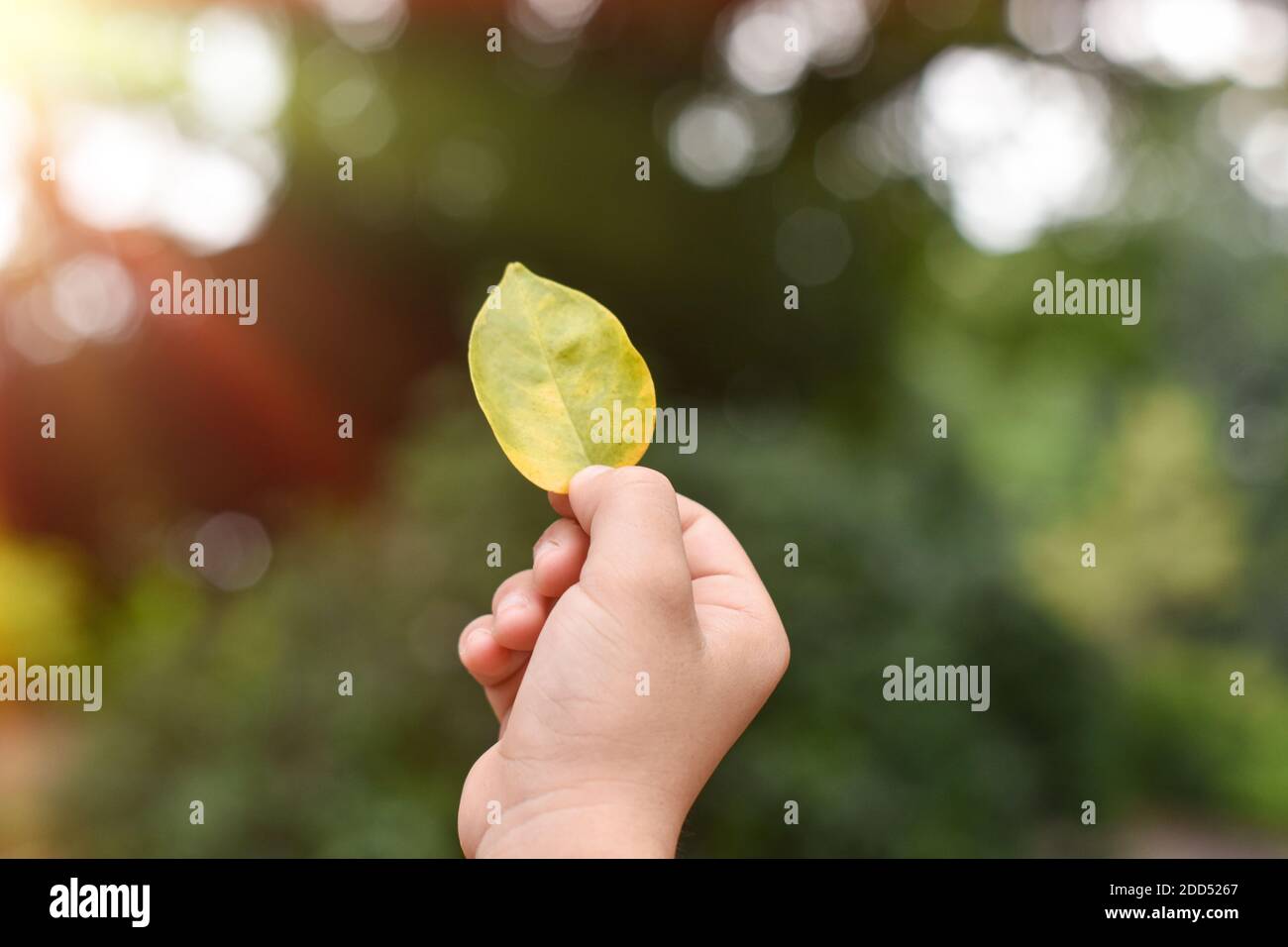 Mano che tiene la foglia gialla contro sfondo verde sfocato della natura. Concetto eco-consapevole Foto Stock