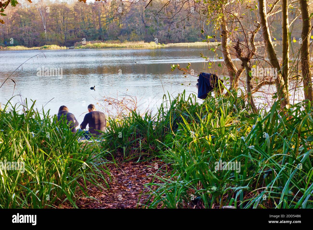 L'uomo e le donne scapparono in campagna facendo un picnic a lato del lago mentre il sole autunnale si rifletteva sull'acqua, Kent, Inghilterra, Regno Unito Foto Stock