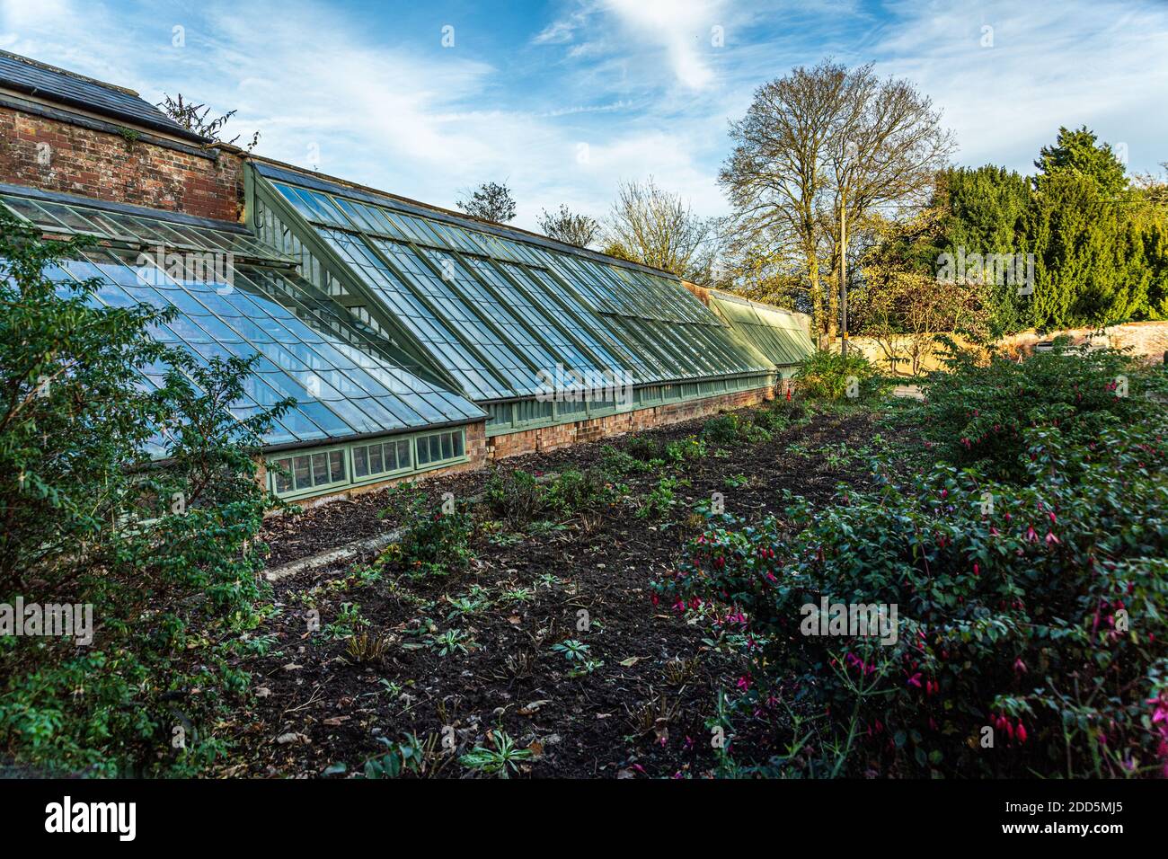 Un'impressionante fila di 'Lean-to'serre in un giardino murato Foto Stock