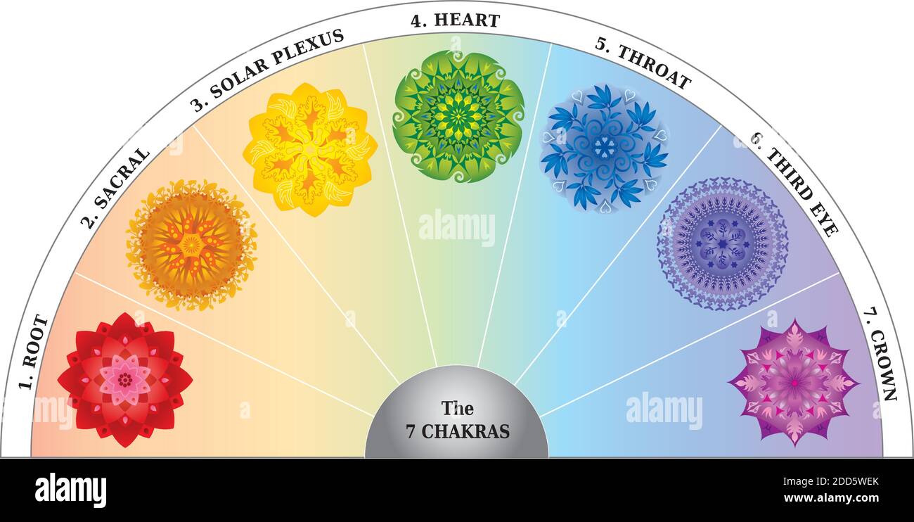 7 Chakra Color Chart, semicerchio con Mandala su sfondo arcobaleno Illustrazione Vettoriale