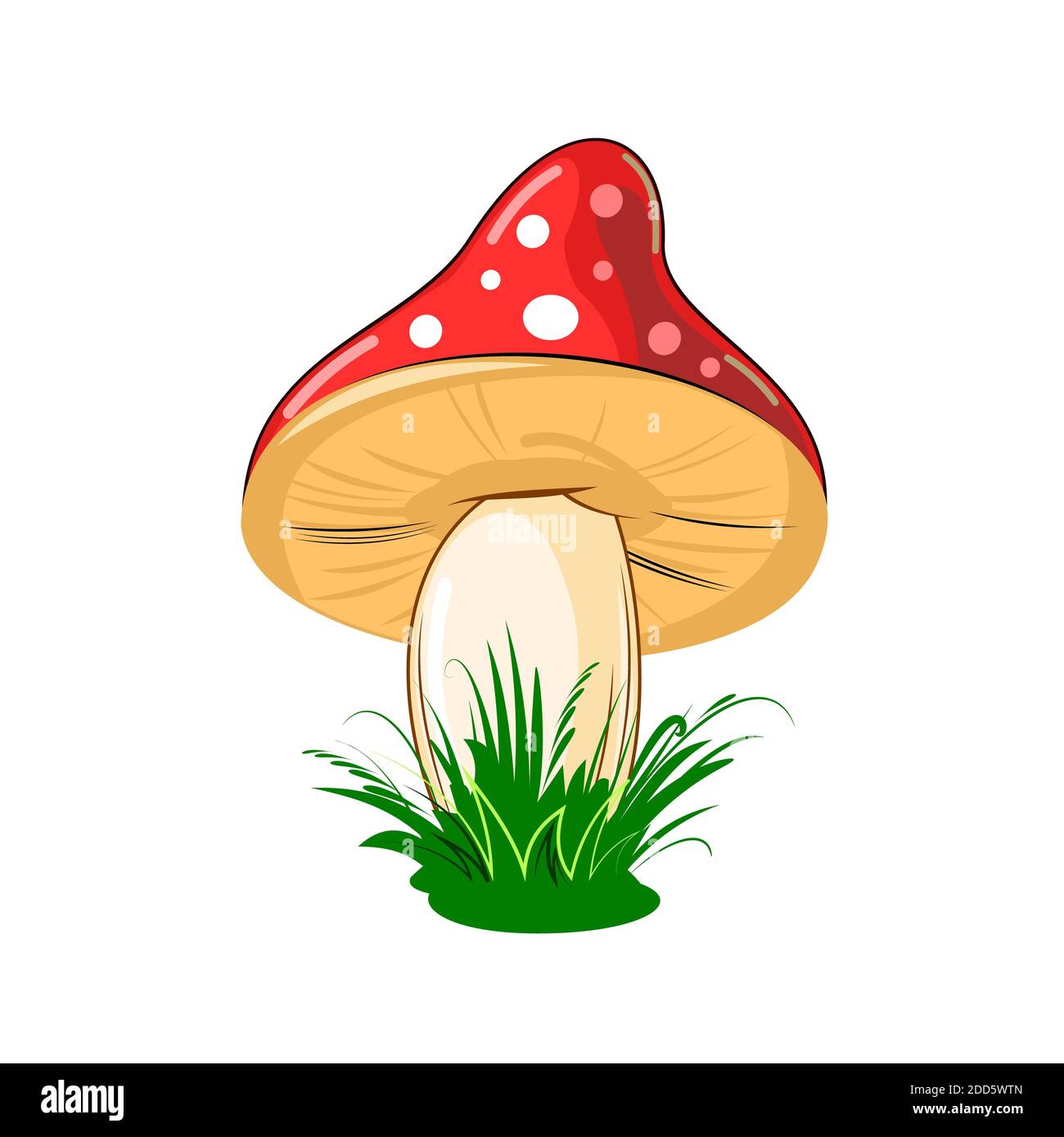 Fungo. Isolato su sfondo bianco. Carino stile cartoon. Bella illustrazione. Con erba. Foto Stock
