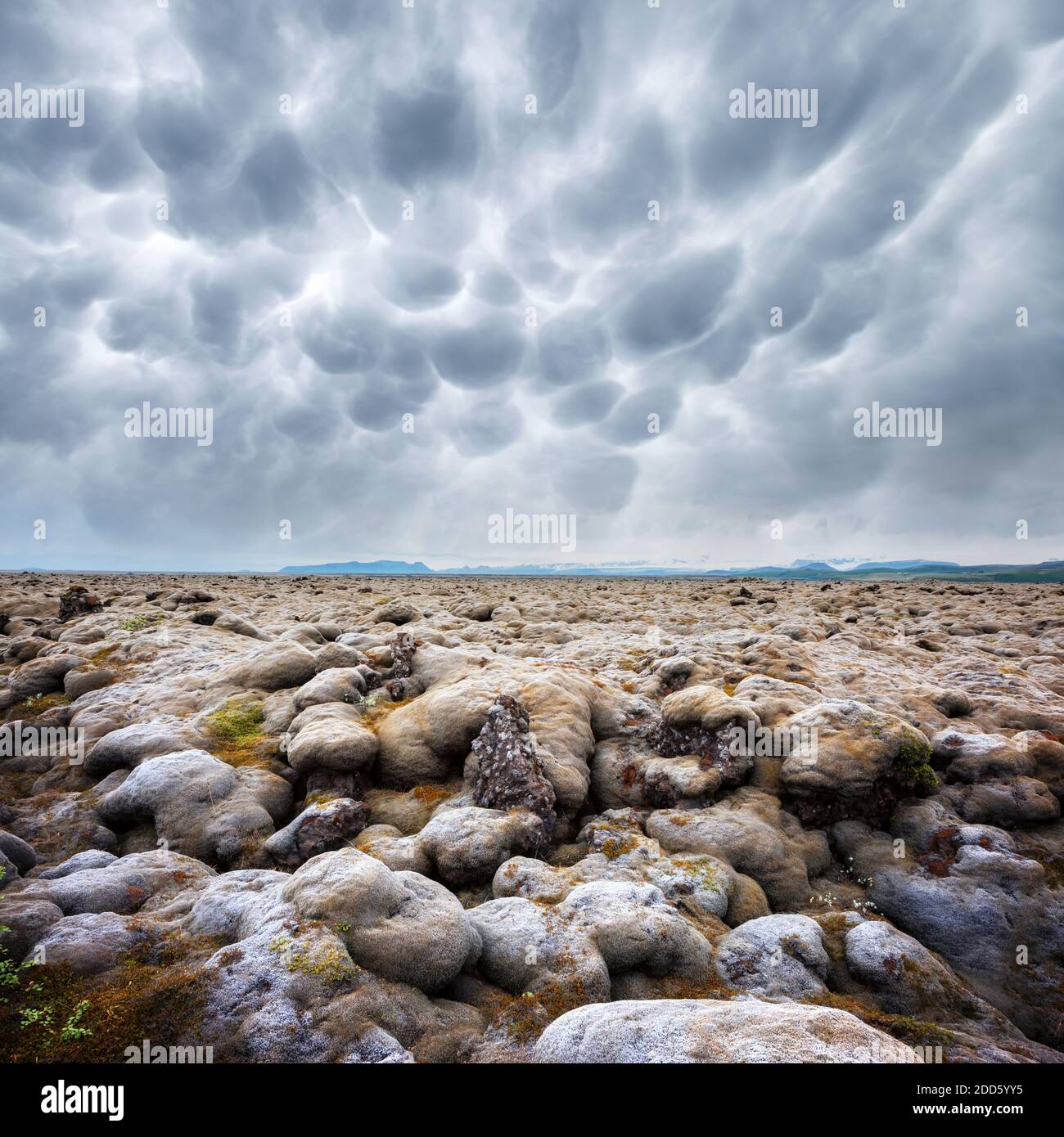 Paesaggio offbeat Islanda con campo di lava coperto di muschio marrone Eldhraun da eruzione vulcanica e cielo nuvoloso Foto Stock
