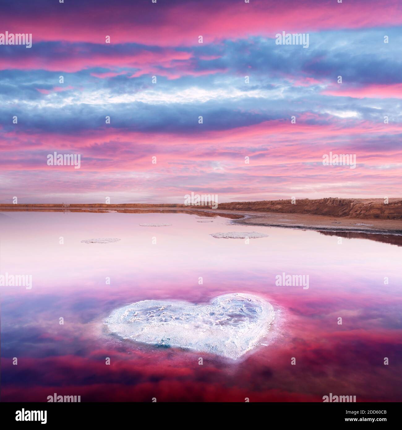 Cuore dal sale in acqua rosa lago di sale in Ucraina, Europa. Concetto creativo Foto Stock