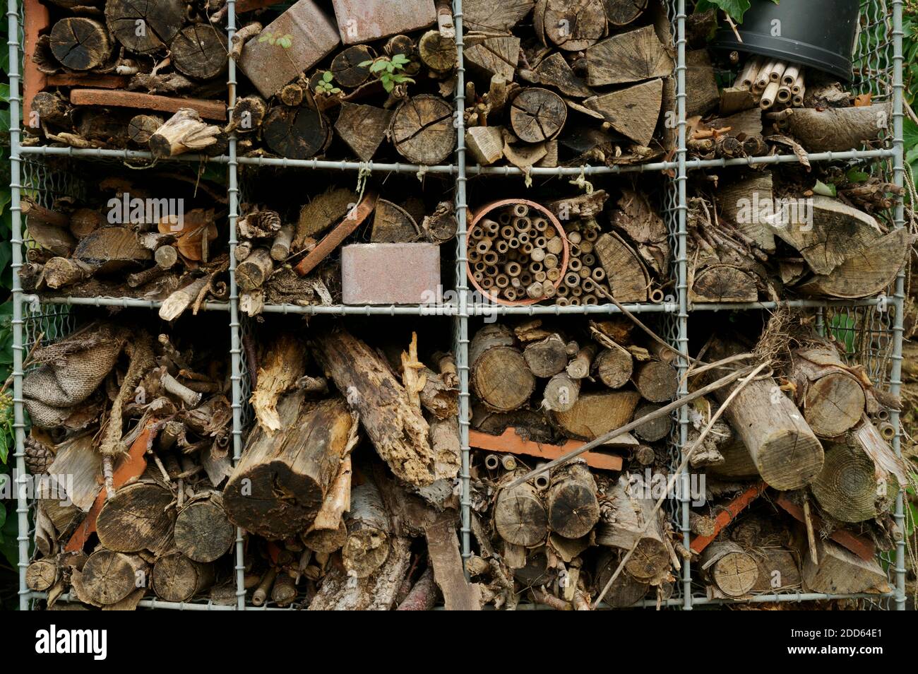 Un primo piano di un bug hotel. Foto Stock
