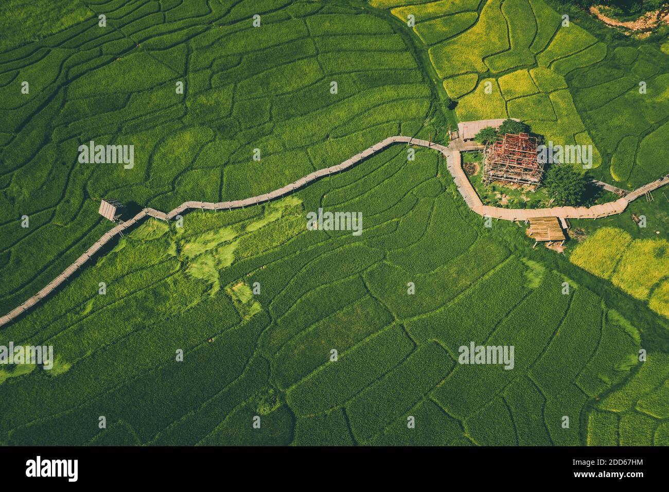 Bamboo Bridge a Pai, Mae Hong Son, Chiang mai, thailandia Foto Stock