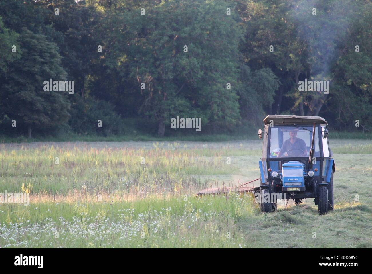 Taglio dell'erba per fieno Foto Stock