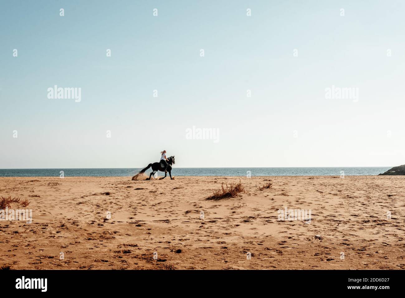 La donna a cavallo sulla spiaggia Foto Stock