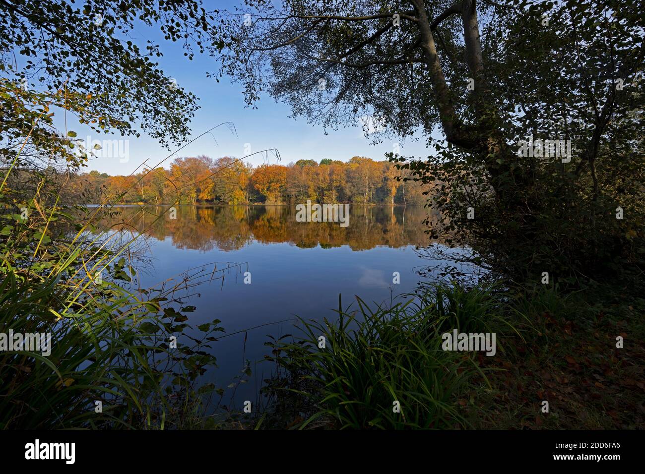 Slaugham Mill laghetto, Slaugham, West Sussex, Inghilterra, Regno Unito. Foto Stock