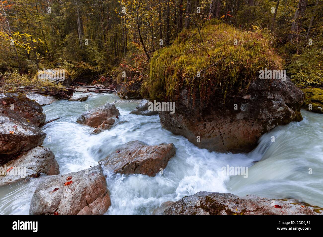 Autunno nella Foresta Magica vicino Ramsau in Berchtesgadener Land, Baviera, Germania. Foto Stock