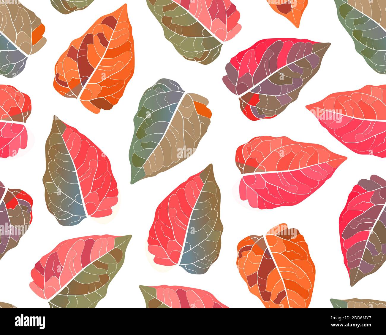 Schema senza giunture di piante vettoriali. Foglie colorate su sfondo bianco Illustrazione Vettoriale