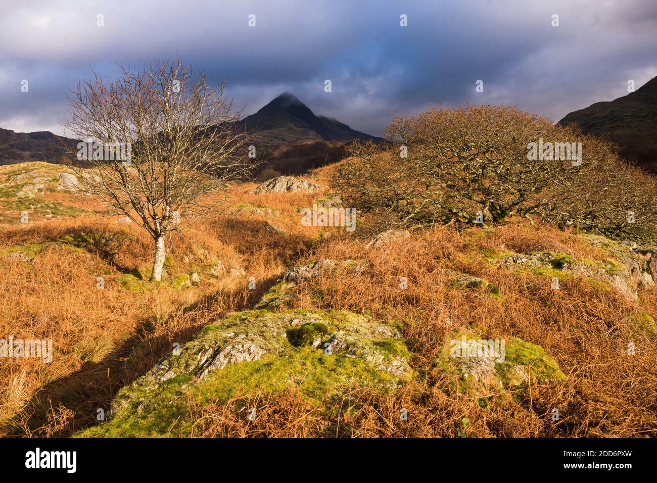 Cnicht visto da Croesor Valley, Snowdonia National Park, Galles del Nord Foto Stock