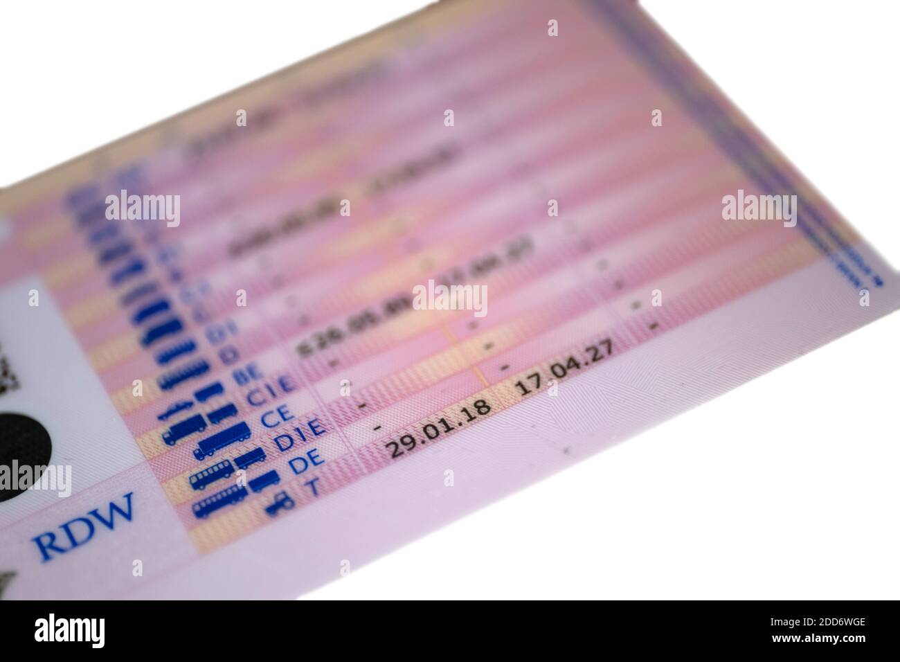 Retro della patente di guida rosa in formato carta di credito rilasciata dall'RDW, isolata su sfondo bianco con le icone delle varie categorie Foto Stock