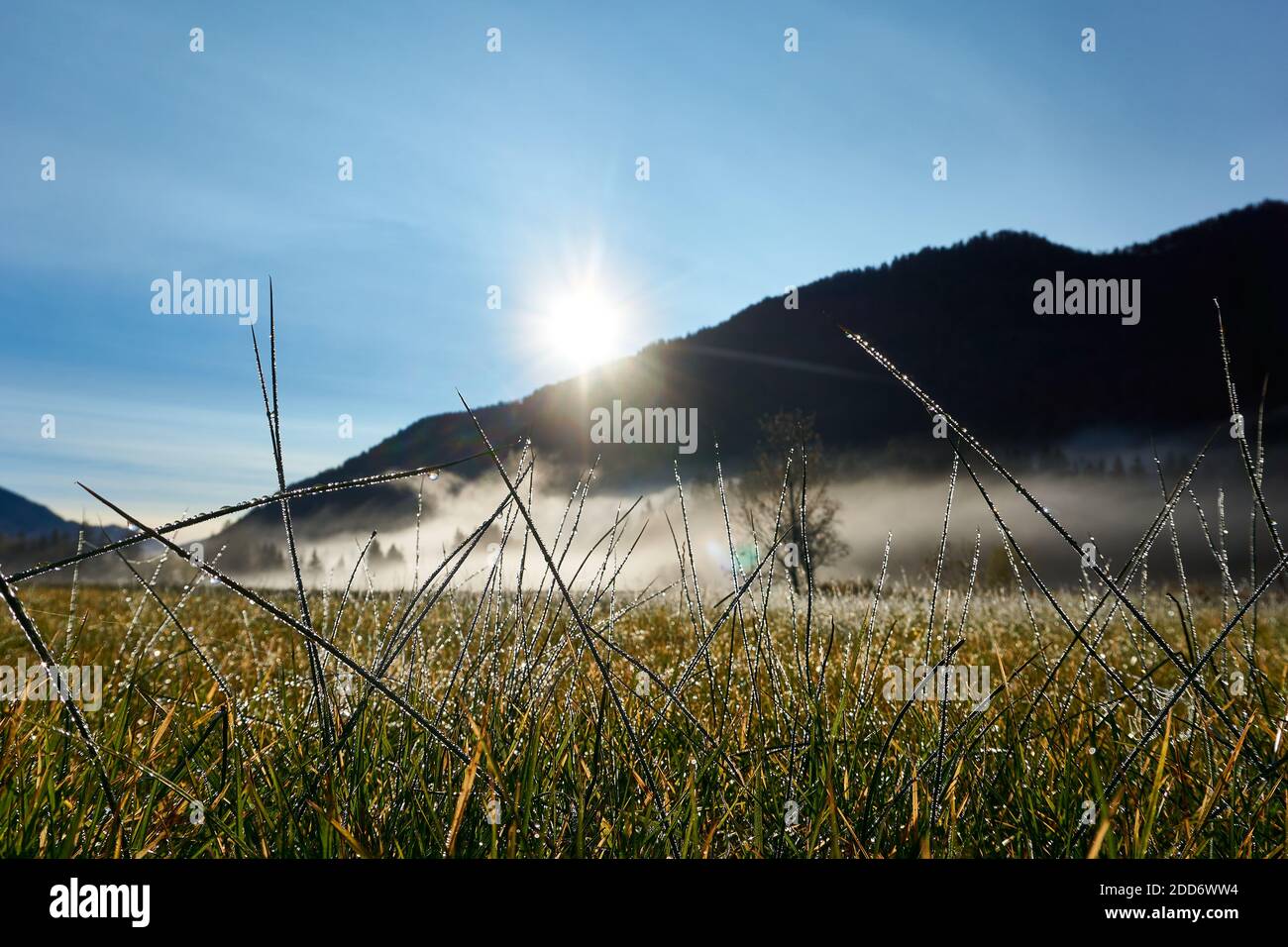 Nebbia su campo e ruscello all'alba del sole Foto Stock