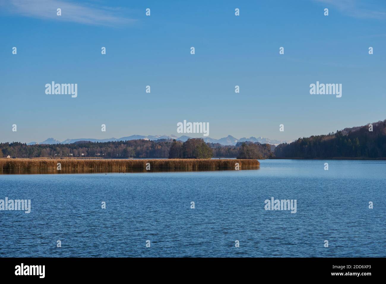 Passeggiata autunnale intorno al lago Seeham Foto Stock