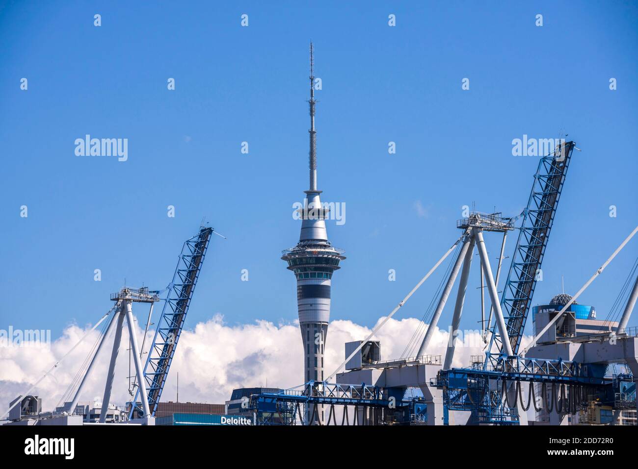 Auckland Sky Tower, Nuova Zelanda, Isola del Nord Foto Stock