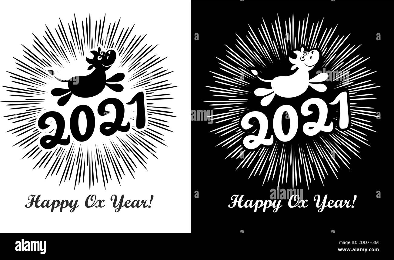 2021 biglietto d'auguri con bue divertente e l'iscrizione Happy Ox anno! sullo sfondo di fuochi d'artificio festosi. Vettore su backg trasparente e nero Illustrazione Vettoriale