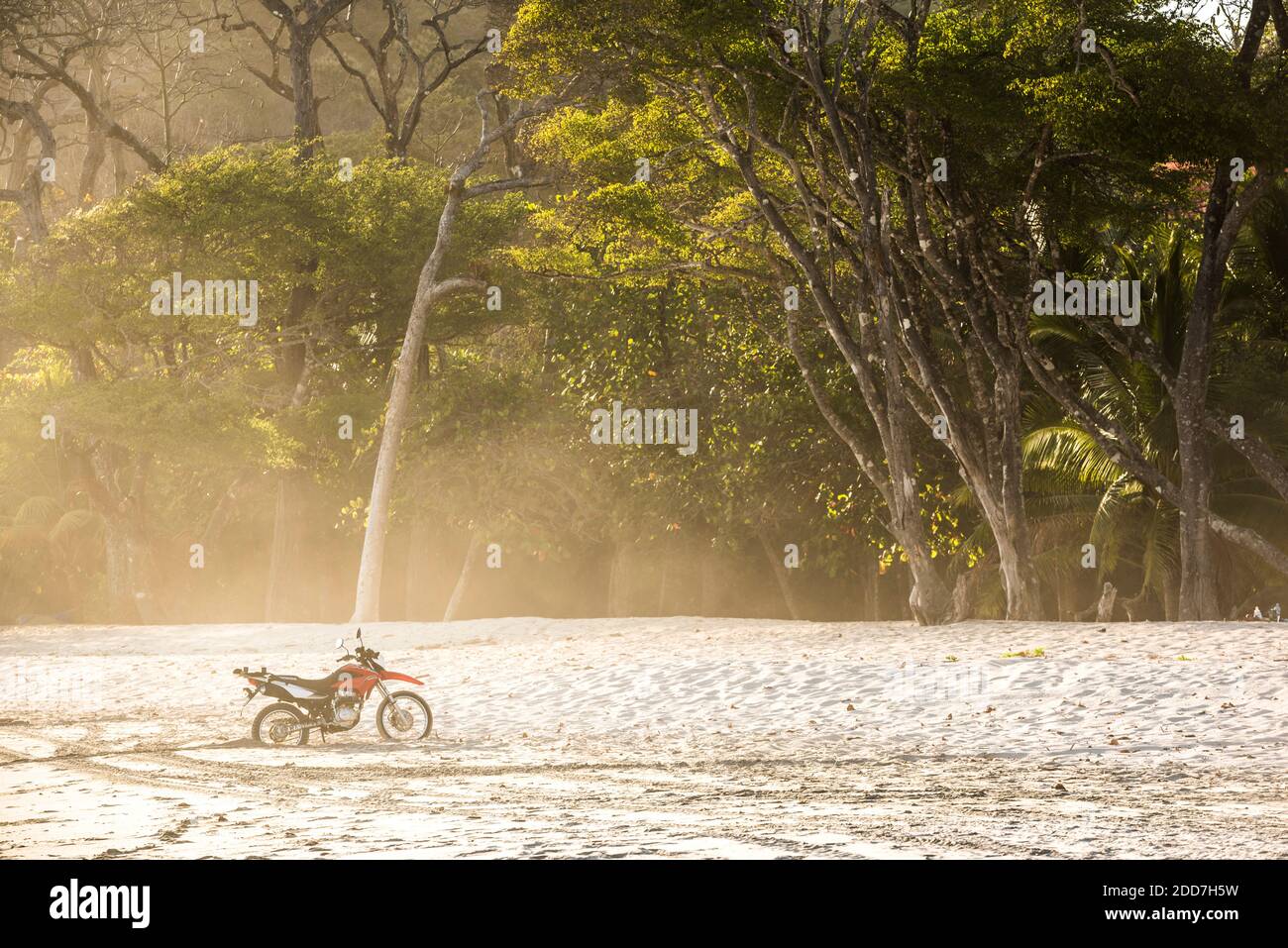 Moto su una spiaggia al tramonto, Nosara, Provincia di Guanacaste, Costa del Pacifico, Costa Rica Foto Stock