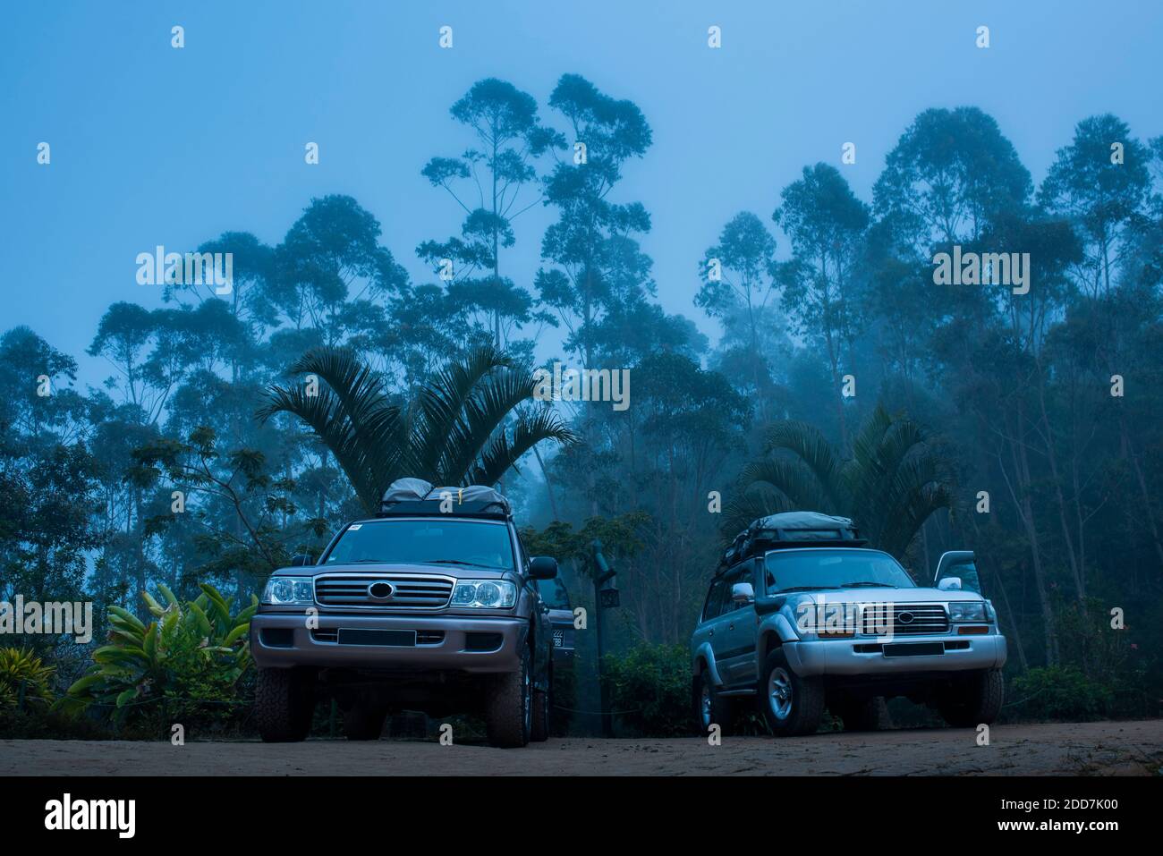 Veicoli 4WD in una mattinata nebbiosa, con Andasibe National Park alle spalle, Madagascar Foto Stock