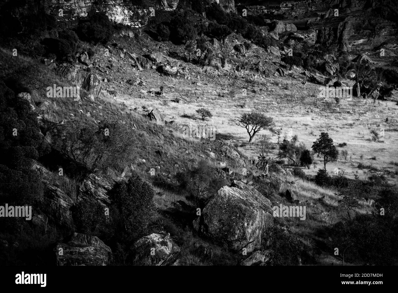 Parco Nazionale di Isalo paesaggio all'alba, Ihorombe Regione, Madagascar Foto Stock