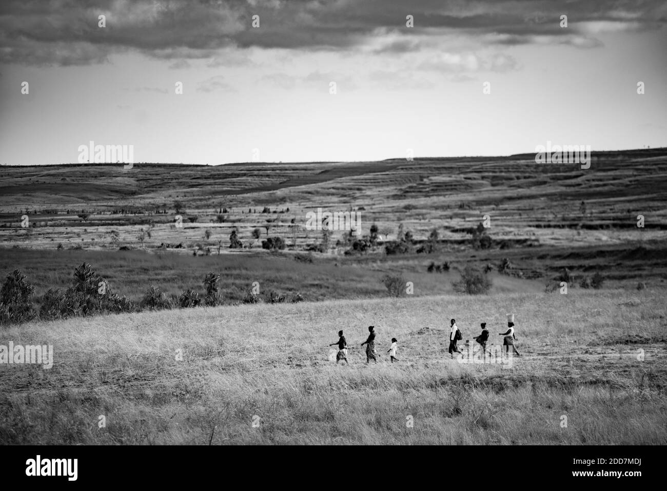 Parco Nazionale di Isalo, Regione di Ihorombe, Madagascar sudoccidentale Foto Stock