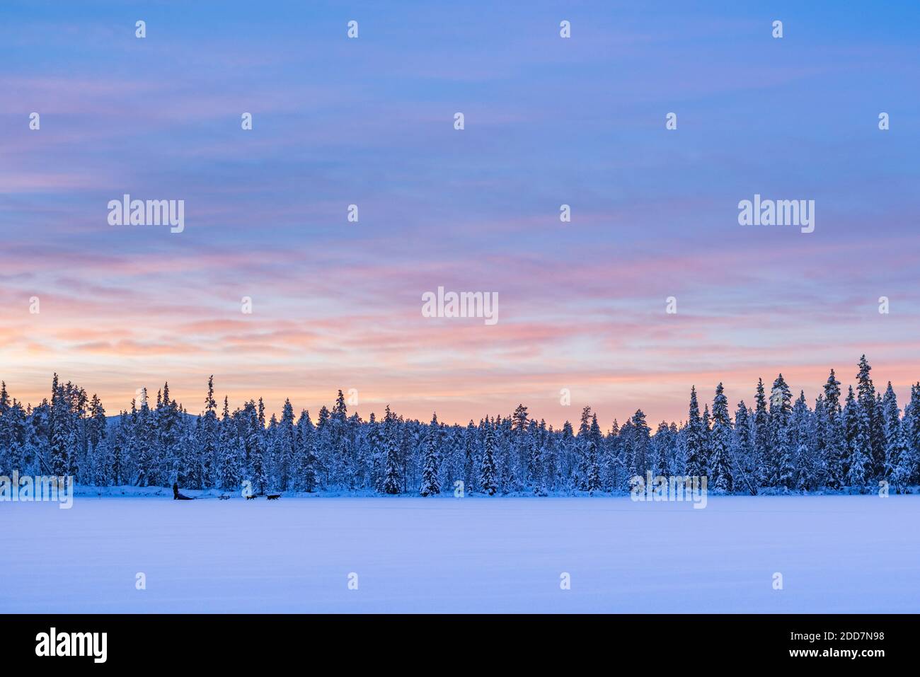 Torassieppi paesaggio invernale sul lago ghiacciato al tramonto, Lapponia, Finlandia Foto Stock