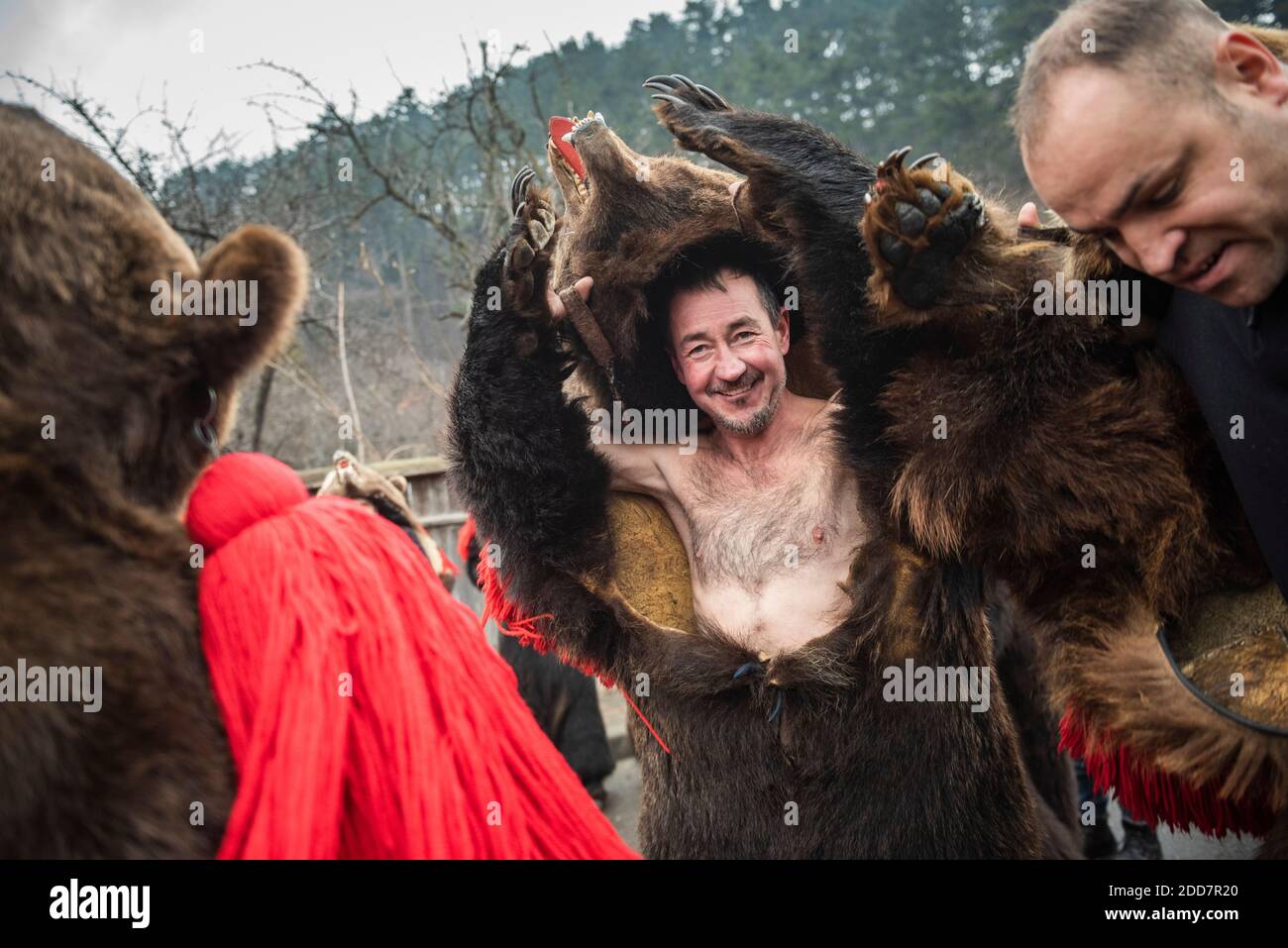 Festa di ballo dell'orso di Capodanno, Comanesti, Moldavia, Romania Foto Stock