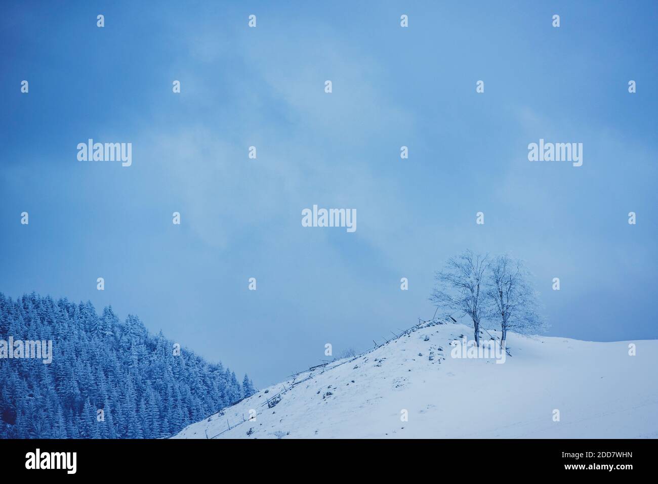 Paesaggio invernale nei pressi di Bran nei Carpazi, Transilvania, Romania Foto Stock