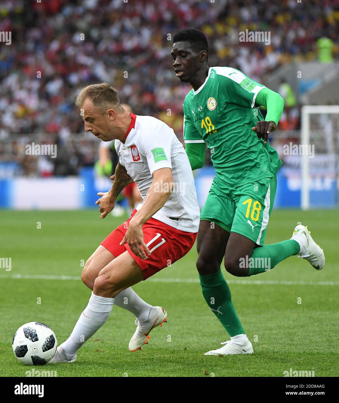 polonia x senegal