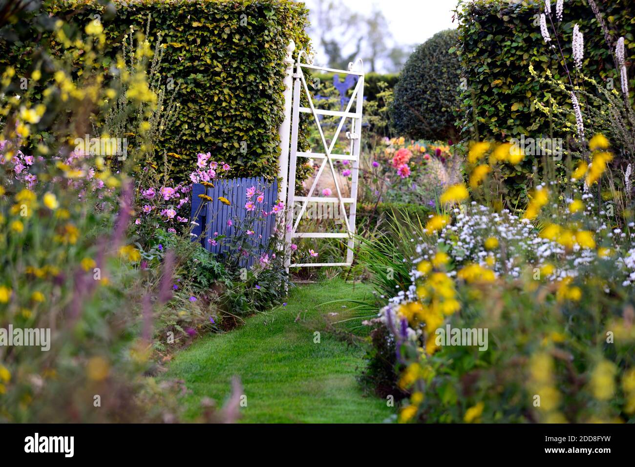 cancello in metallo bianco, cancello in ferro battuto, giardino cottage, confini erbacei, percorso, percorso, percorso falena, allio, cirsium, guanto di foxglove, yarrow, viola, rosso, rosa, giallo, flusso Foto Stock