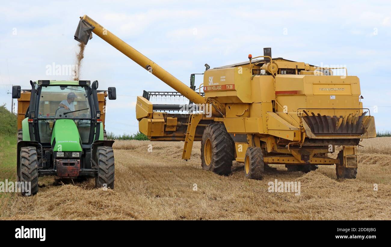 SK Contracting New Holland TX36, lavorando in un campo, Pickmere, Northwich, Cheshire, Inghilterra, Regno Unito Foto Stock