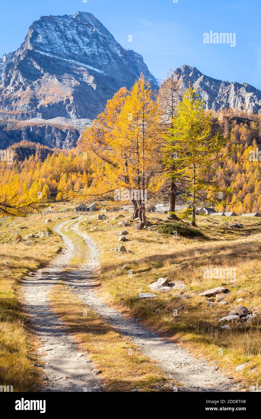 Vista autunnale della strada per Cianciavero e Monte Leone. Alpe Veglia, Val Cairasca, Val Divedro, Val Ossola, Varzo, Piemonte, Italia. Foto Stock