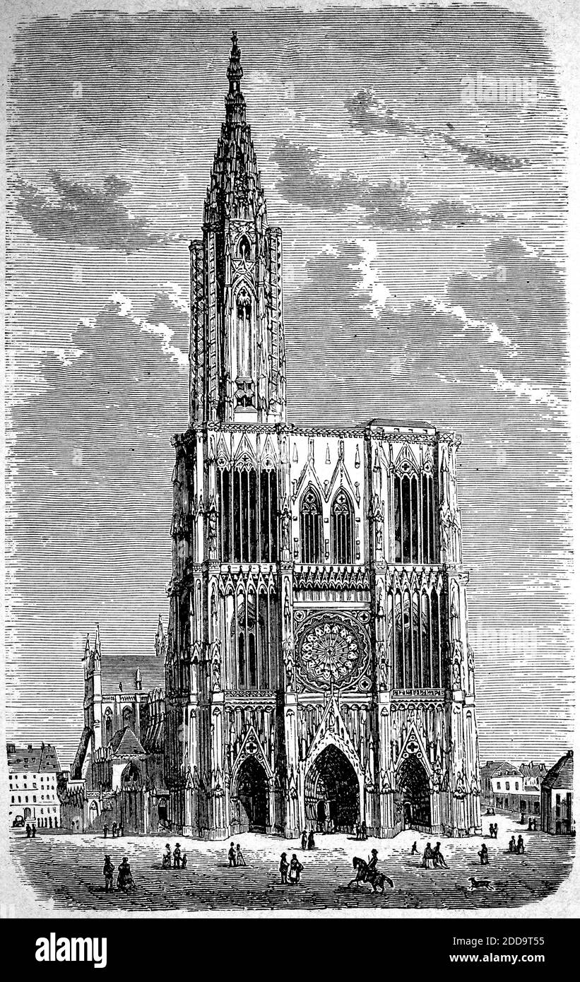 Catherale, Münster a Strasburgo, Alsazia, Francia, 1880 / Münster a Straßburg, Elsaß, Frankreich, 1880, Historisch, storico, digitale riproduzione migliorata di un originale del 19 ° secolo / digitale Reproduktion einer Originalvollage aus dem 19. Jahrhundert, Foto Stock