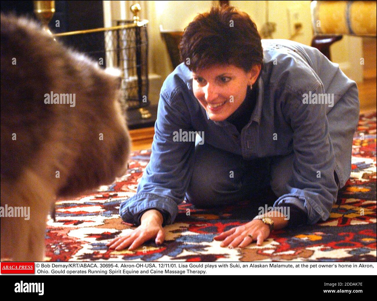 NESSUN FILM, NESSUN VIDEO, NESSUNA TV, NESSUN DOCUMENTARIO - © BOB DEMAY/KRT/ABACA. 30695-4. Akron-OH-USA. 12/11/01. Lisa Gould gioca con Suki, un malamuto dell'Alaska, nella casa del proprietario dell'animale domestico ad Akron, Ohio. Gould opera Spirit Equine e Caine Massage Therapy. Foto Stock