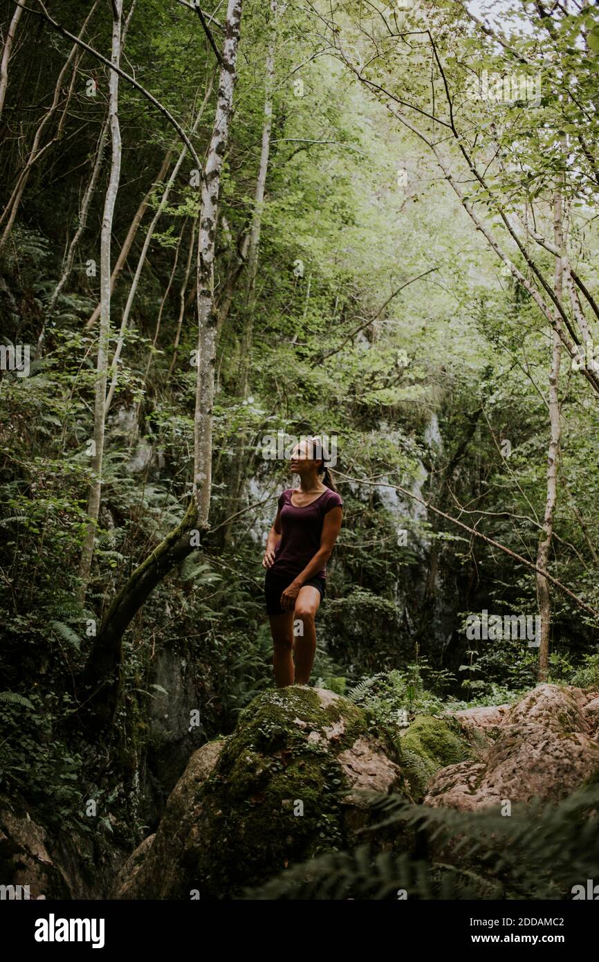 Donna circondata da alberi verdi che esplorano la foresta Foto Stock