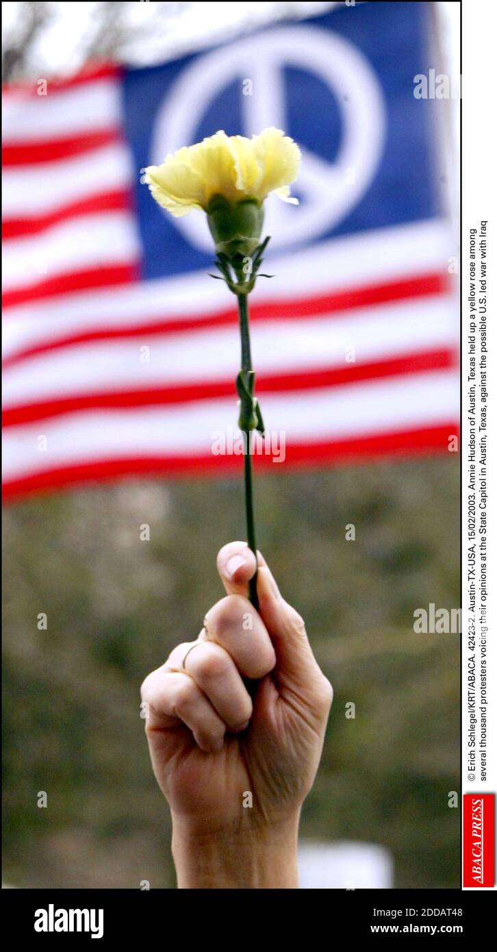 NESSUN FILM, NESSUN VIDEO, NIENTE TV, NESSUN DOCUMENTARIO - © ERICH SCHLEGEL/KRT/ABACA. 42423-2. Austin-TX-USA, 15/02/2003. Annie Hudson di Austin, Texas, ha tenuto una rosa gialla tra diverse migliaia di manifestanti che hanno espresso le loro opinioni al Campidoglio di Stato di Austin, Texas, contro la possibile guerra condotta dagli Stati Uniti con l'Iraq Foto Stock