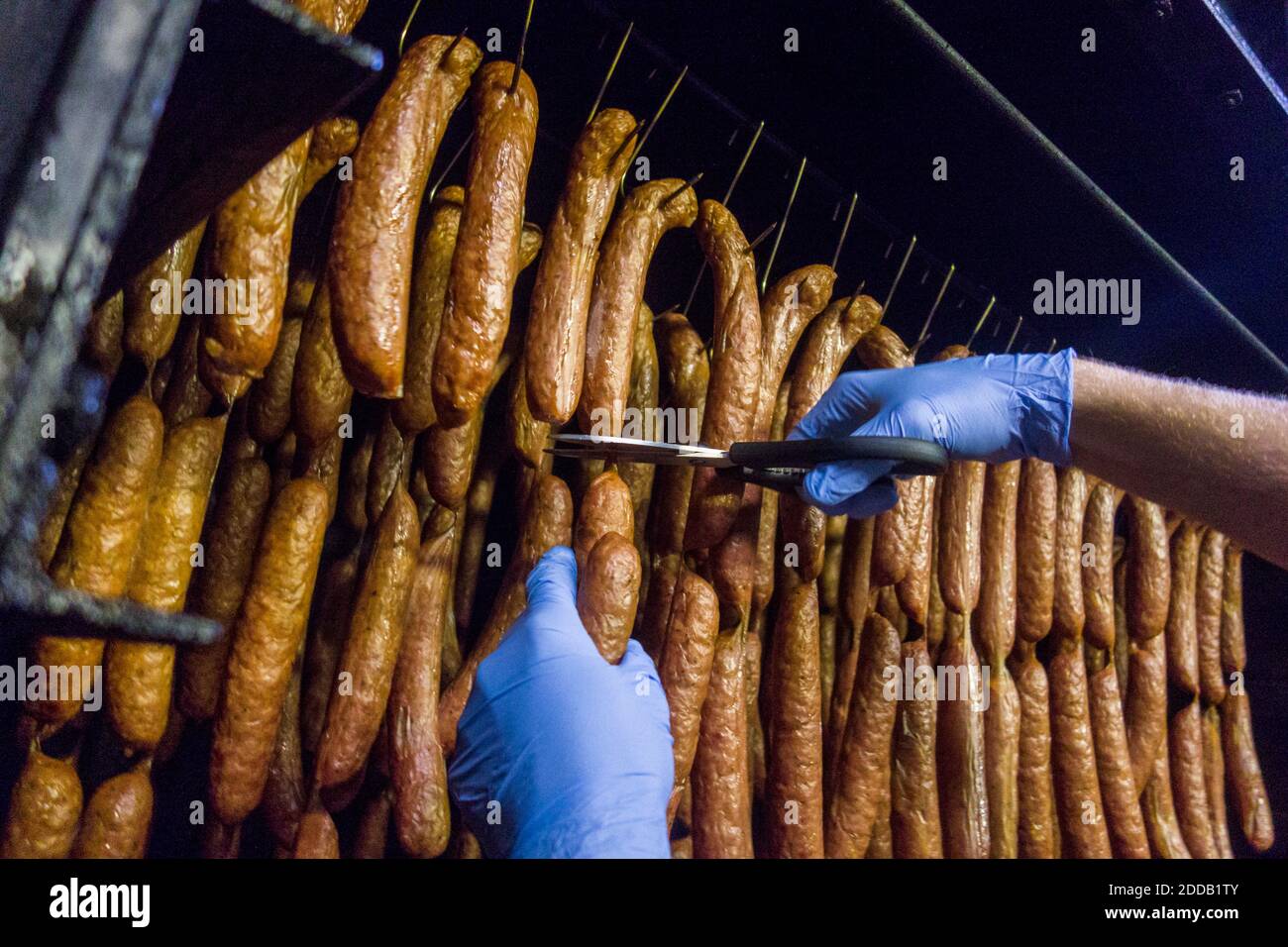 Mano del lavoratore manuale che taglia le salsicce alla fabbrica di cibo Foto Stock