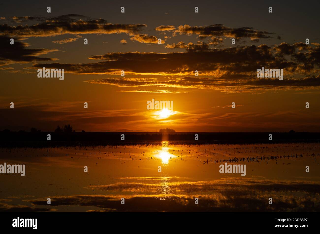 Tramonto a Staten Island Preserve, Caliornia Foto Stock