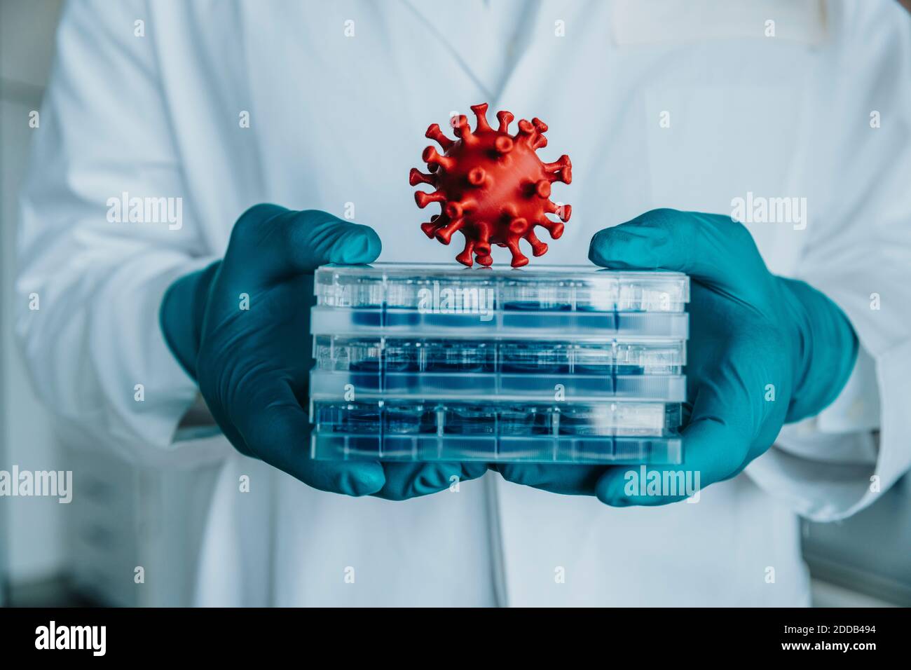 Lo scienziato tiene a mano il vassoio della piastra Petri mentre si trova in laboratorio Foto Stock