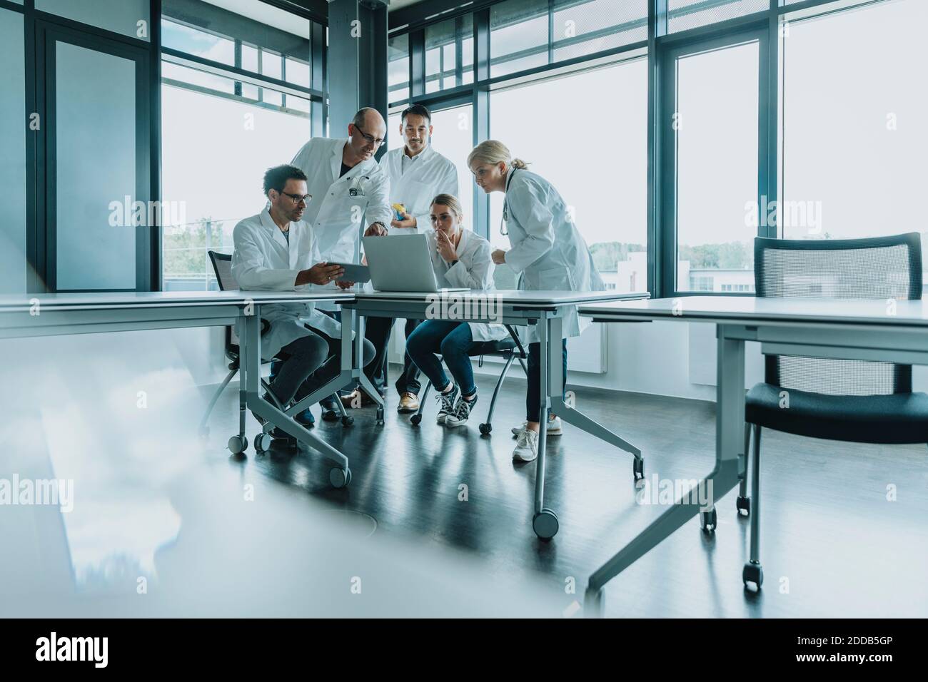 Medici e scienziati lavorano n computer portatile mentre si sta in piedi a. ufficio Foto Stock