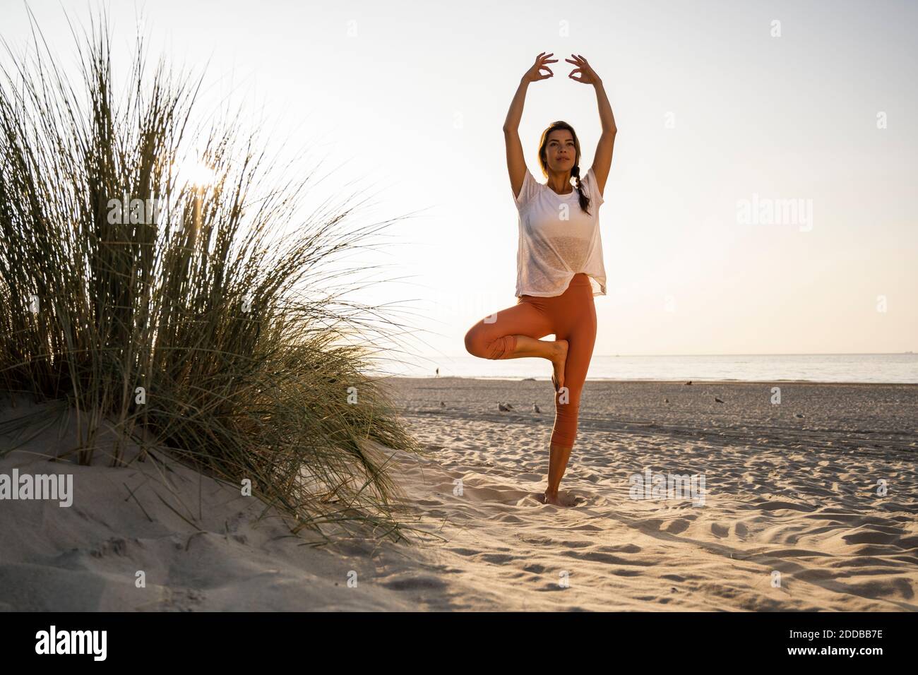 Bella giovane donna praticante albero posa con le braccia sollevate da piantare sulla sabbia in spiaggia contro il cielo limpido durante il tramonto Foto Stock