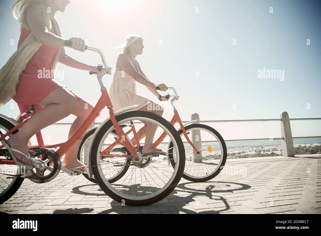 Giovani amici in bicicletta sul lungomare in spiaggia durante il sole giorno Foto Stock