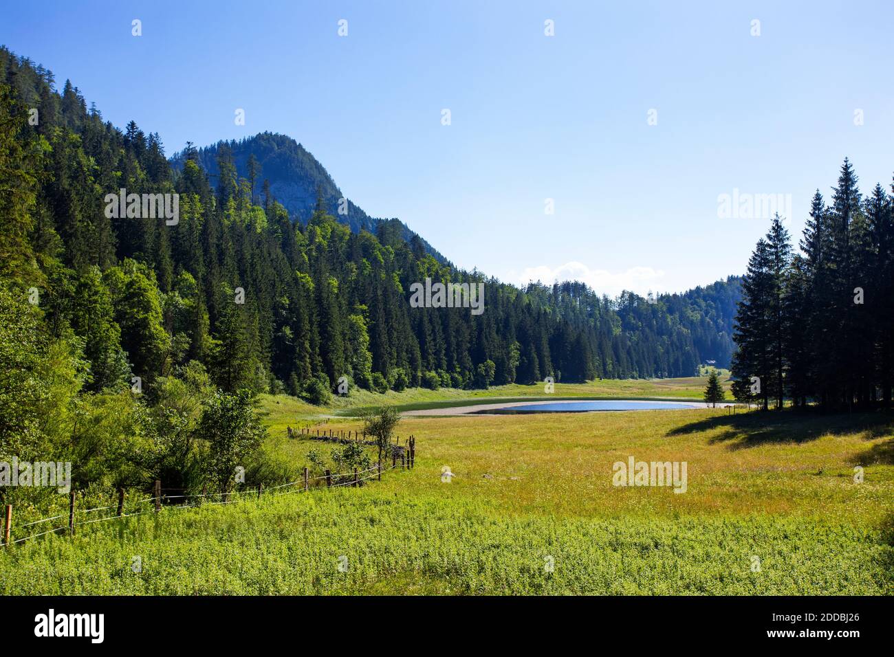 Vista panoramica del paesaggio contro il cielo limpido, Salzkammergut, Austria Foto Stock