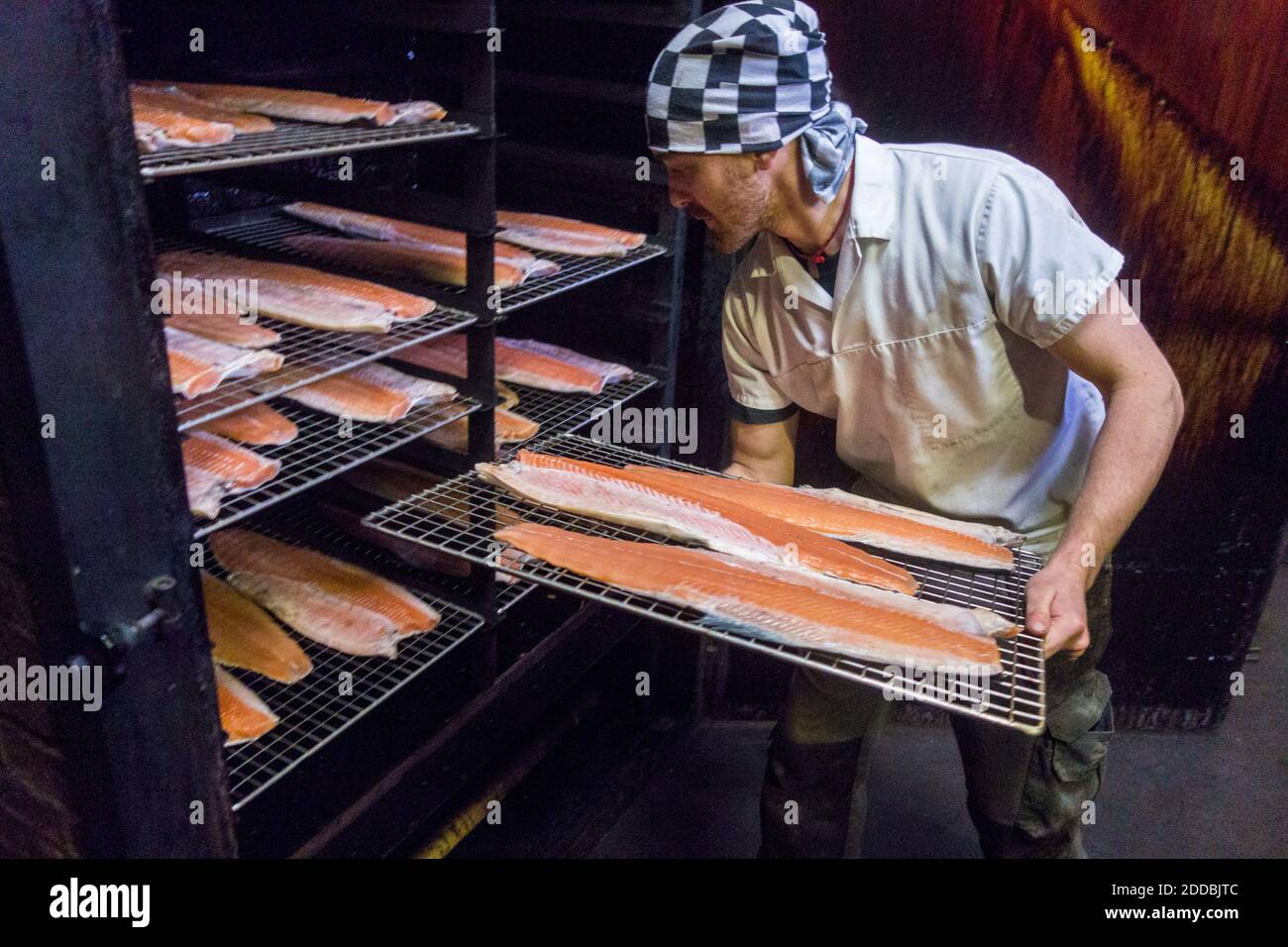 Operatore manuale che inserisce il vassoio del pesce nel fumetto presso la fabbrica alimentare Foto Stock